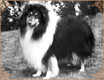 Sylcroft Sorcerer