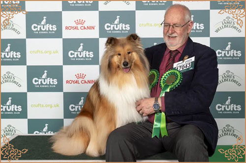 Tremaro Kind Of Magic, Crufts Winners