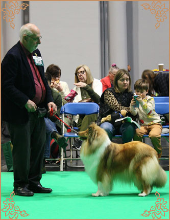 Tremaro Kind Of Magic, Crufts Winners