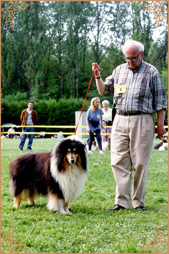 Troydon Tonni Black, Crufts Winners
