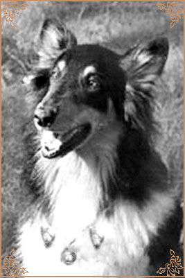 Уль-Бекки, Ul-Bekki