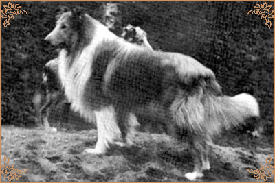 Vesimiehen Irvin