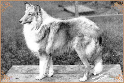 Waldo of Waldemar