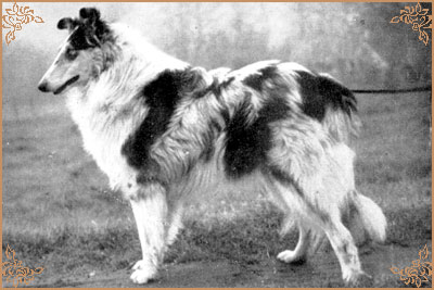 Westcarrs Blue Minoru