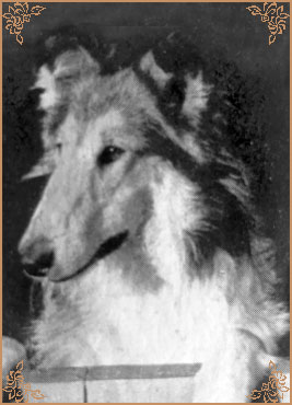 Westcarrs Whistler, Crufts Winners
