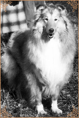 Винни Зоретта, Winnie Zoretta