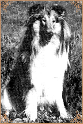 Yana von der Ruhrstadt