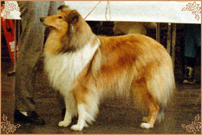 Yana von der Ruhrstadt
