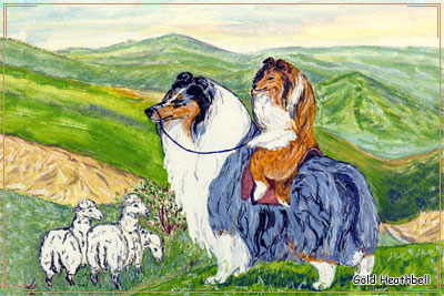 рисунки шелти рисунки шелти