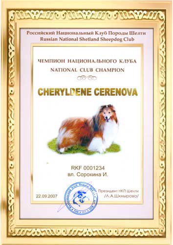 Национальный клуб шелти, Чемпион НКП Cheryldene Cerenova