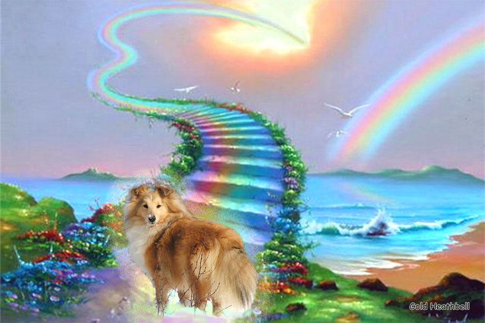 Stail Aikemuno Very Sweet for Heathbell Stail Aikemuno Very Sweet for Heathbell