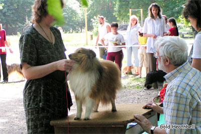 Cheryldene Casius Черилдин Касиус, Cheryldene Casius