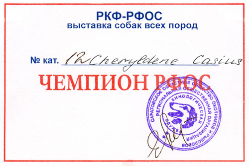 Чемпион РФОС Cheryldene Casius