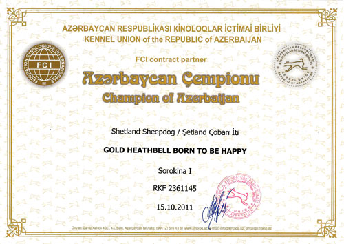 Чемпион Азербайджана Gold Heathbell Born To Be Happy