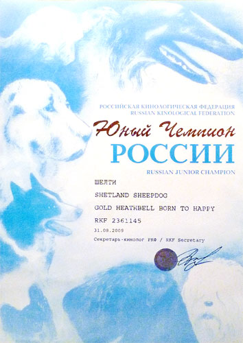 Юный Чемпион России ГОЛД ХИЗБЕЛЛ БОРН ТУ БИ ХЭППИ Юный Чемпион России ГОЛД ХИЗБЕЛЛ БОРН ТУ БИ ХЭППИ