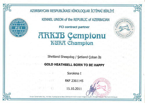 Чемпион Азербайджана Gold Heathbell Born To Be Happy