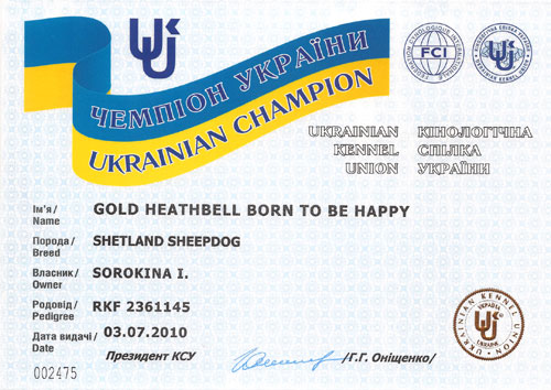 Чемпион Украины Gold Heathbell Born To Be Happy