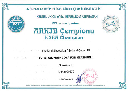 Чемпион Азербайджана Topstail Main Idea for Heathbell