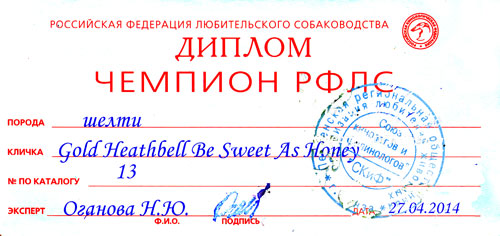 Чемпион РФЛС Gold Heathbell Be Sweet As Honey