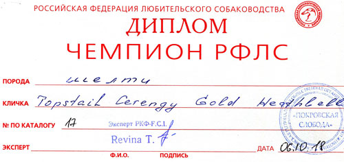 Чемпион РФЛС Topstail Cerengy Gold Heathbell