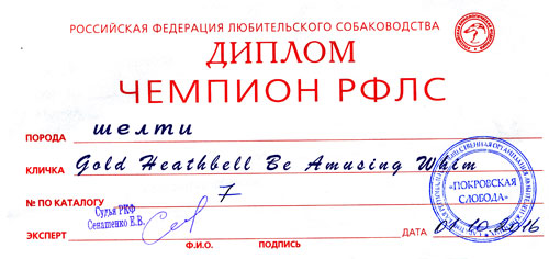 Чемпион РФЛС Gold Heathbell Be Amusing Whim