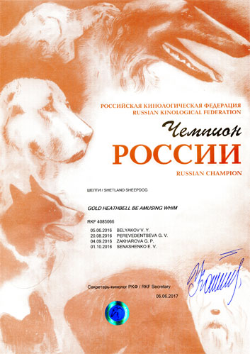 Чемпион России Gold Heathbell Be Amusing Whim