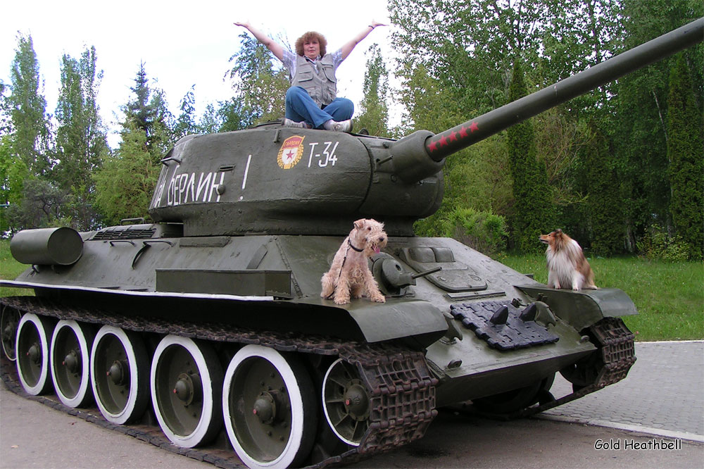 веселые картинки, фото шелти, Черилдин Церенова