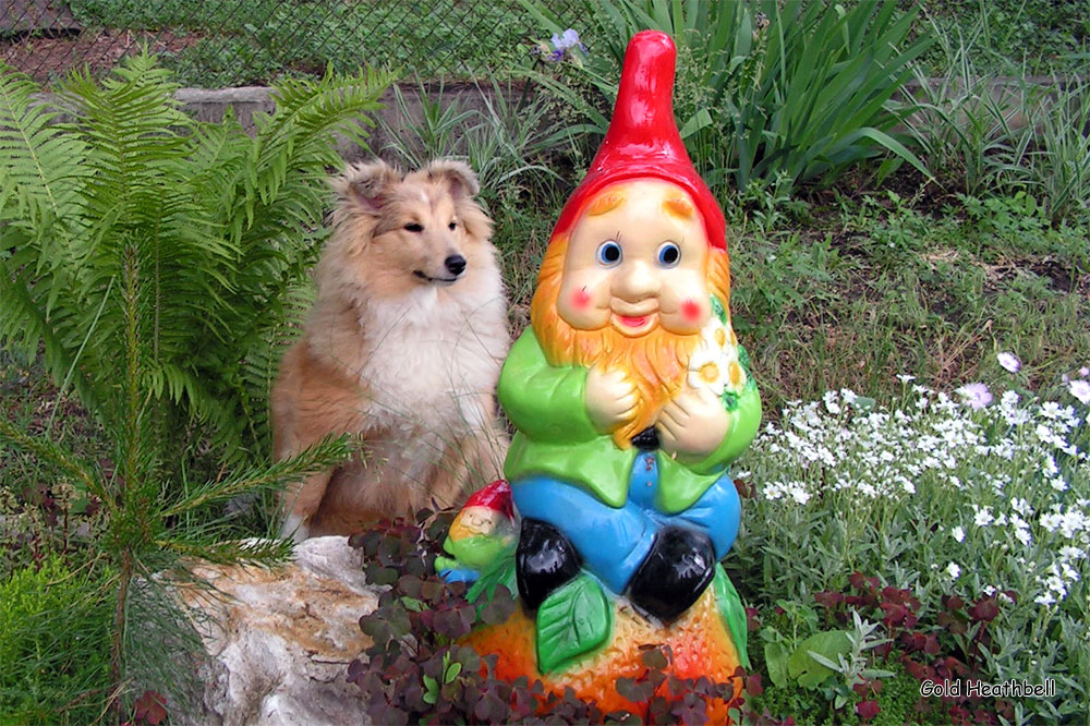 статуэтка шелти, шелти, Стиль Айкемуно Вери Свит фо Хизбелл