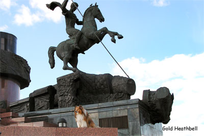 шелти, путешествуем с шелти, Голд Хизбелл