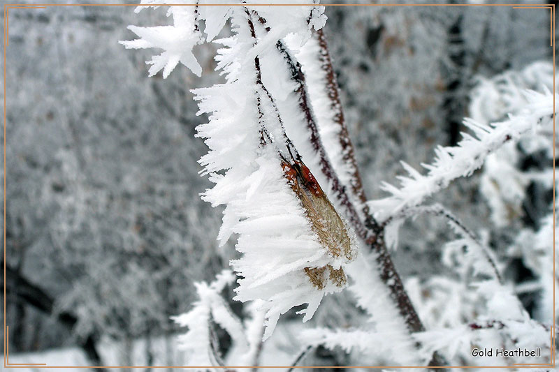 Русская зима