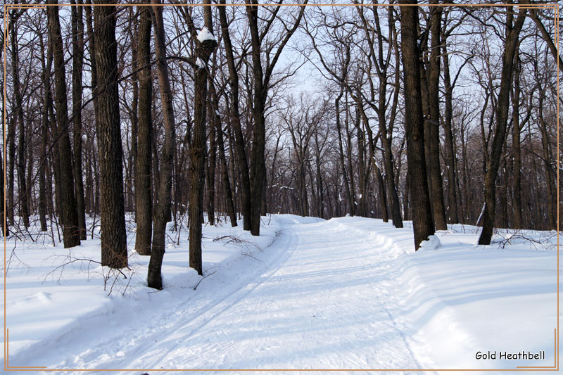 Русская зима