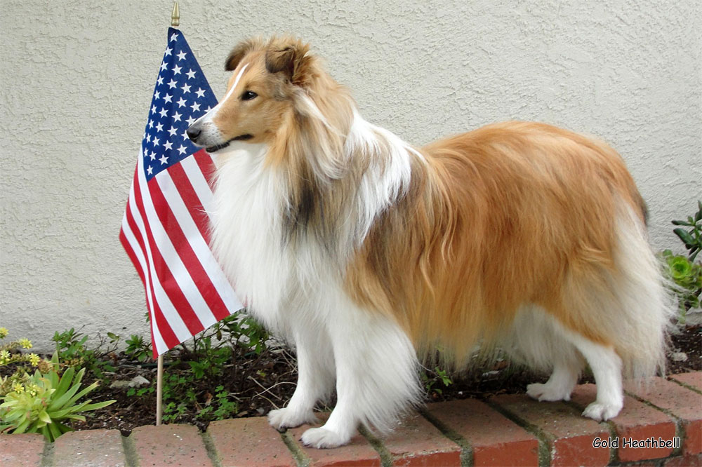 Gold Heathbell Believe In A Miracle