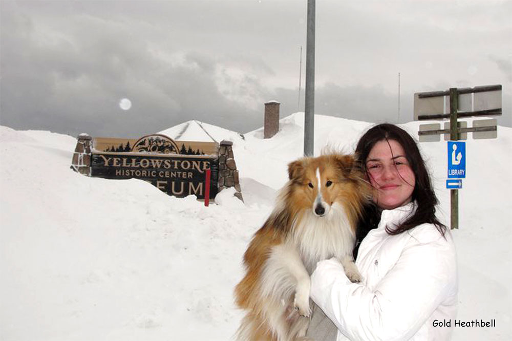 Gold Heathbell Believe In A Miracle