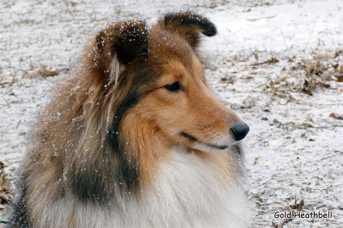 Tailory Made Тейлори Мейд, Tailory Made