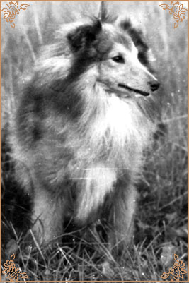 Ares Jizni Samota