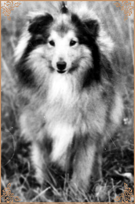 Ares Jizni Samota