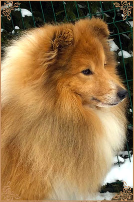 Linmoor Keep A Secret