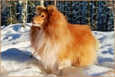 Linmoor Keep A Secret