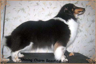 Шайнинг Чарм Бьютифул Гел, Shining Charm Beautiful Girl