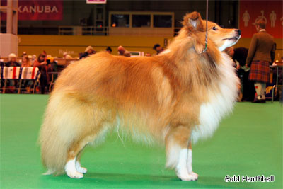 Arcot Time To Remember