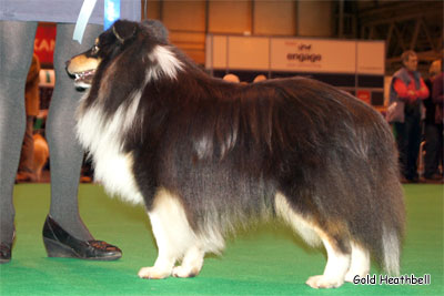 Chalmoor Stand And Stare Chalmoor Stand And Stare