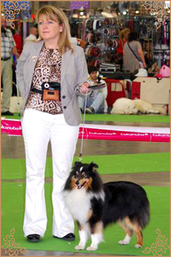 Daliyhaa Secret Weapon at Sevenoaks, Crufts Winners