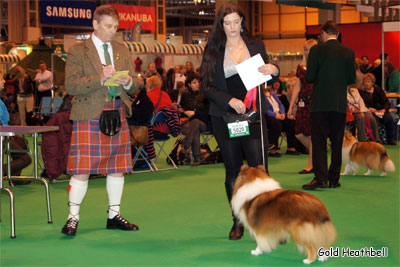 Degallo The Likely Lad, Crufts Winners