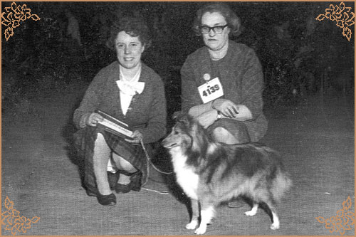 Deloraine Dilys of Monkswood, Crufts Winners