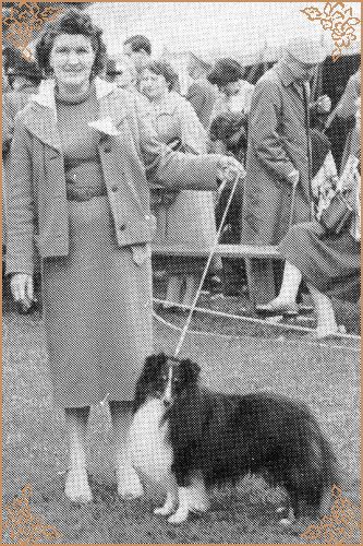 Ebony Pride of Glenhill, Crufts Winners