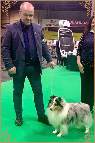 Frostice Makeover, Crufts Winners