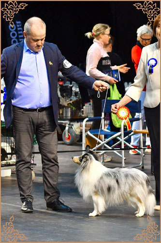 Frostice Makeover, Crufts Winners