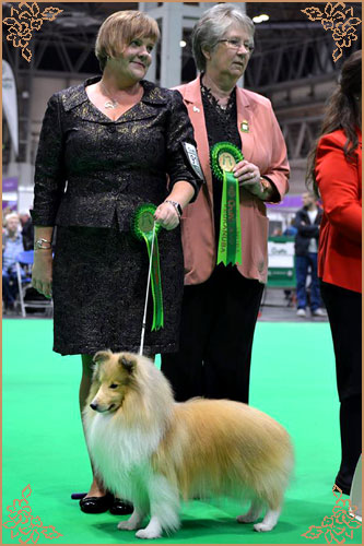 Hartly How About Me for Molson, Crufts Winners