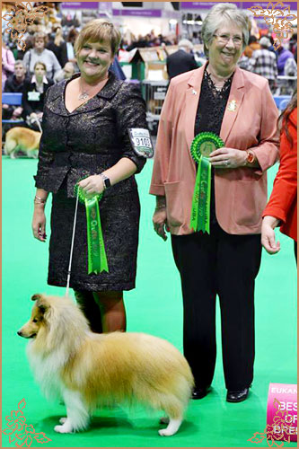 Hartly How About Me for Molson, Crufts Winners