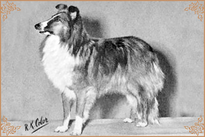 Kendoral Ulysses, Crufts Winners